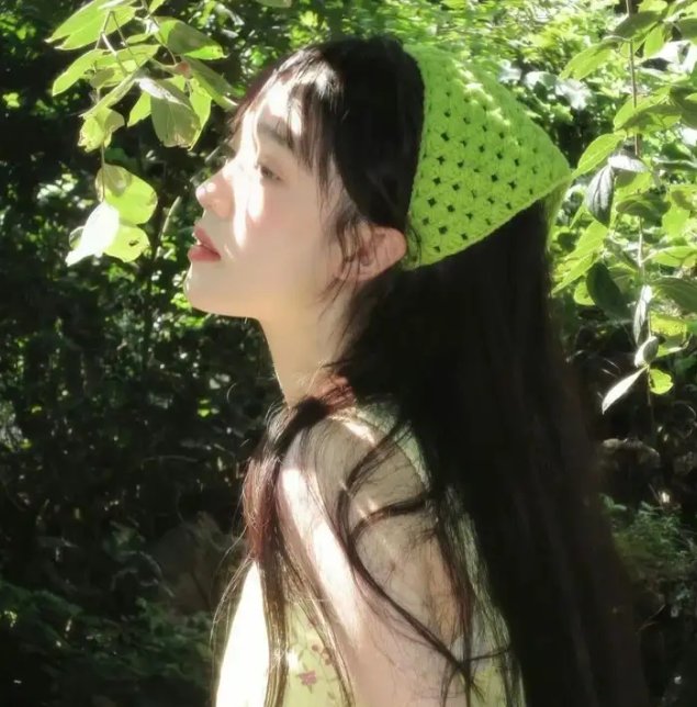 手语的保存